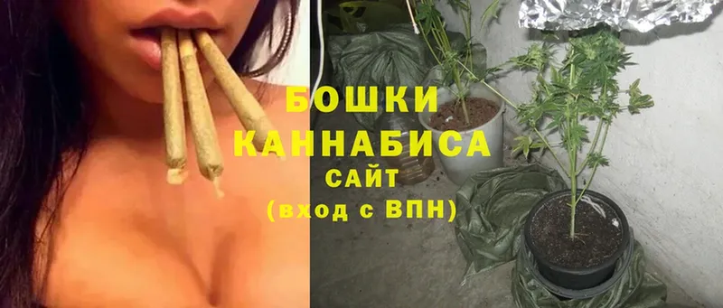 Канабис THC 21%  Новозыбков 